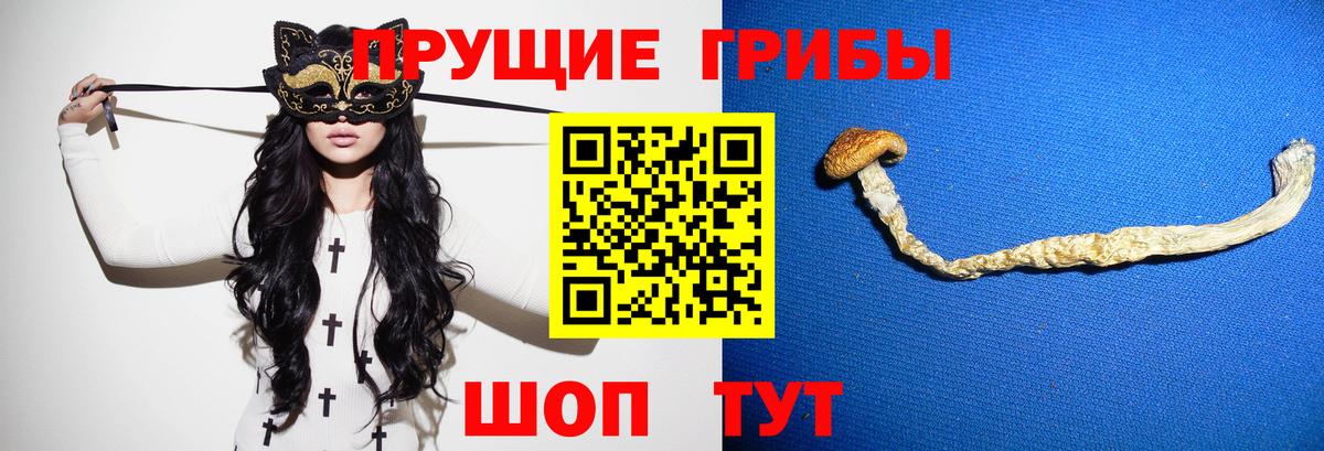 Галлюциногенные грибы Magic Shrooms  Вход с VPN  Галлюциногенные грибы Cubensis  Орехово-Зуево 