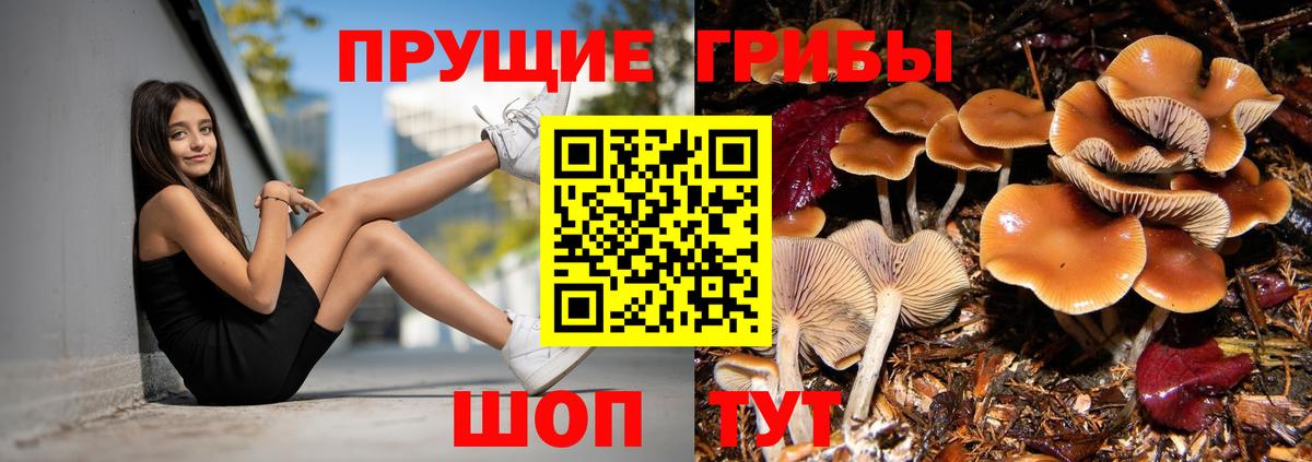 Псилоцибиновые грибы мухоморы Орехово-Зуево